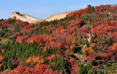 Peak season for fall foliage in Beijing