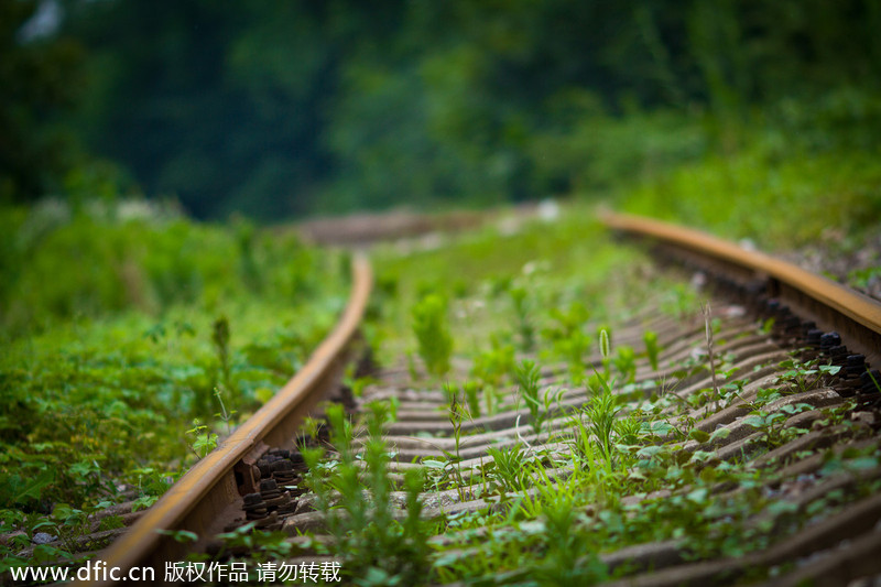 'Most naturally beautiful' railroad