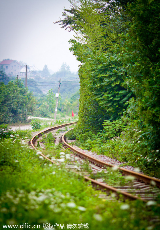 'Most naturally beautiful' railroad