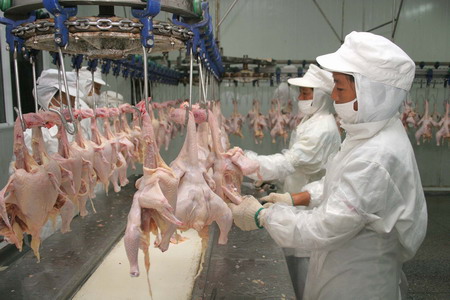 China gets WTO backing in chicken import row with US