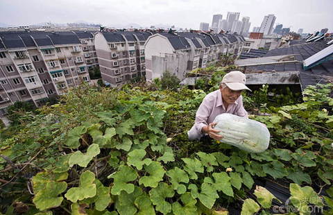 Harbin's agri-products going global