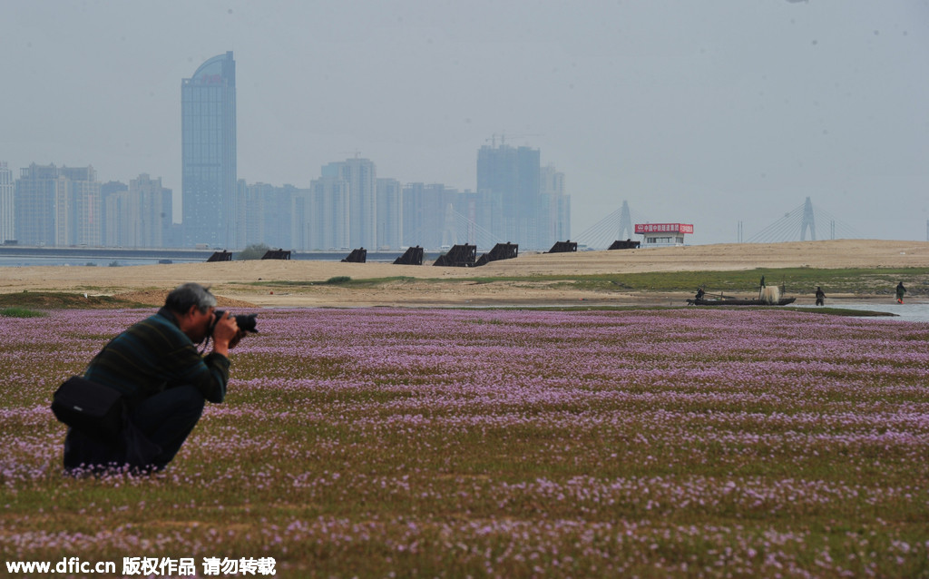 Top 10 satisfying cities of China in 2015