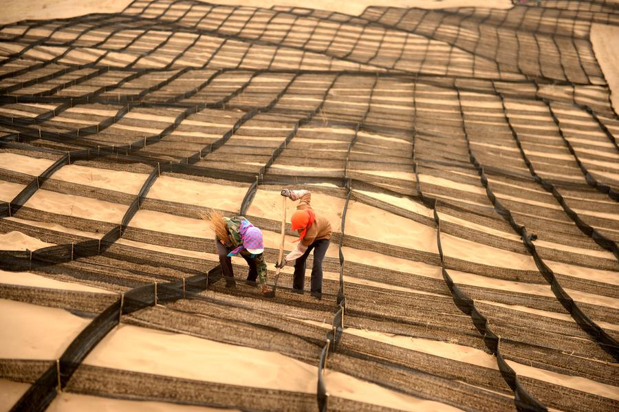 Gansu village tries to make the desert bloom