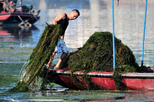 E China chemical spill forces water cut-off