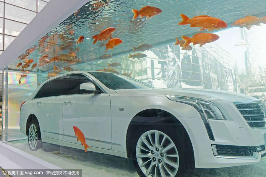 Fancy car debuts inside fish tank