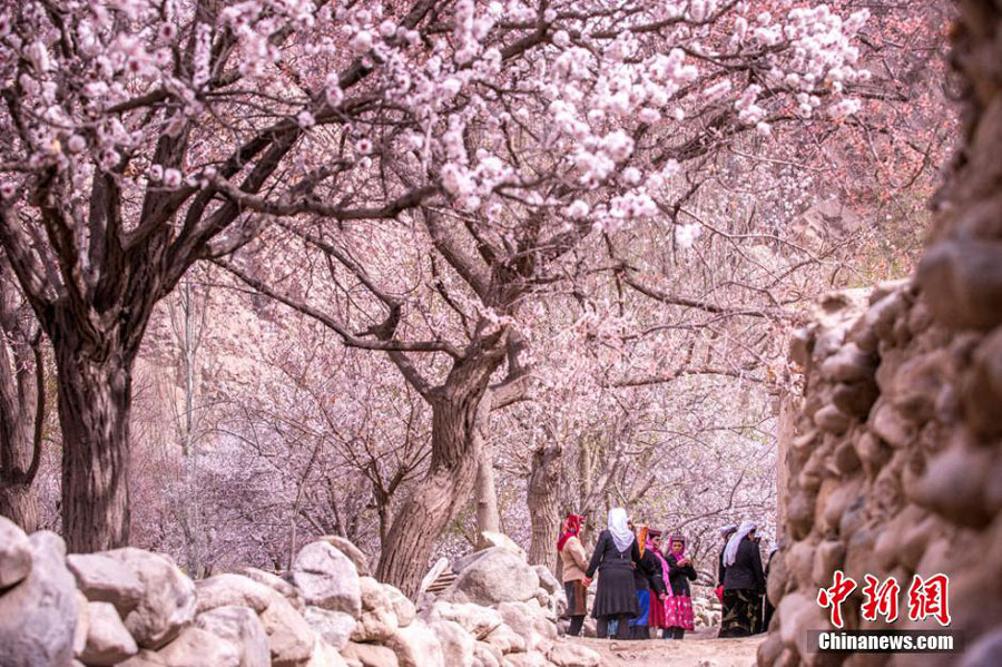 Hidden paradise found in remote NW China