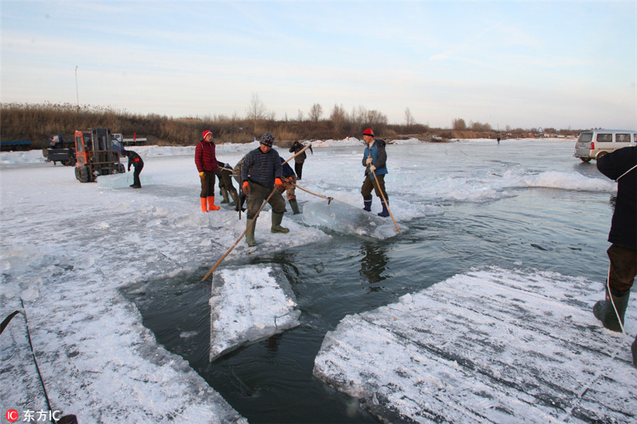 Harbin's ice movers: Tough job in chilly environment