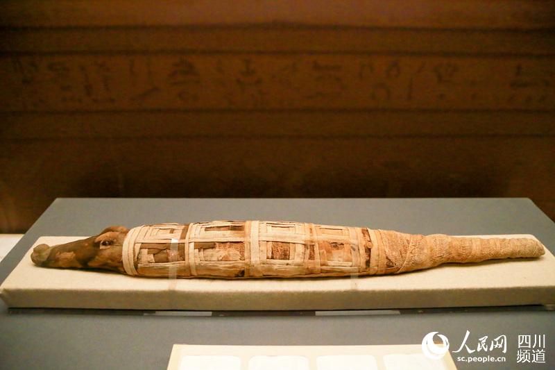 Ancient Egyptian relics to be exhibited in Chengdu