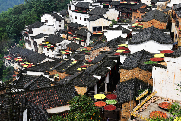 Wuyuan puts old houses up for 'adoption'