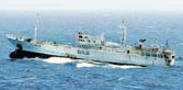 Somali pirates release Chinese vessel