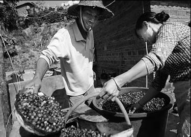 Getting the right blend in China