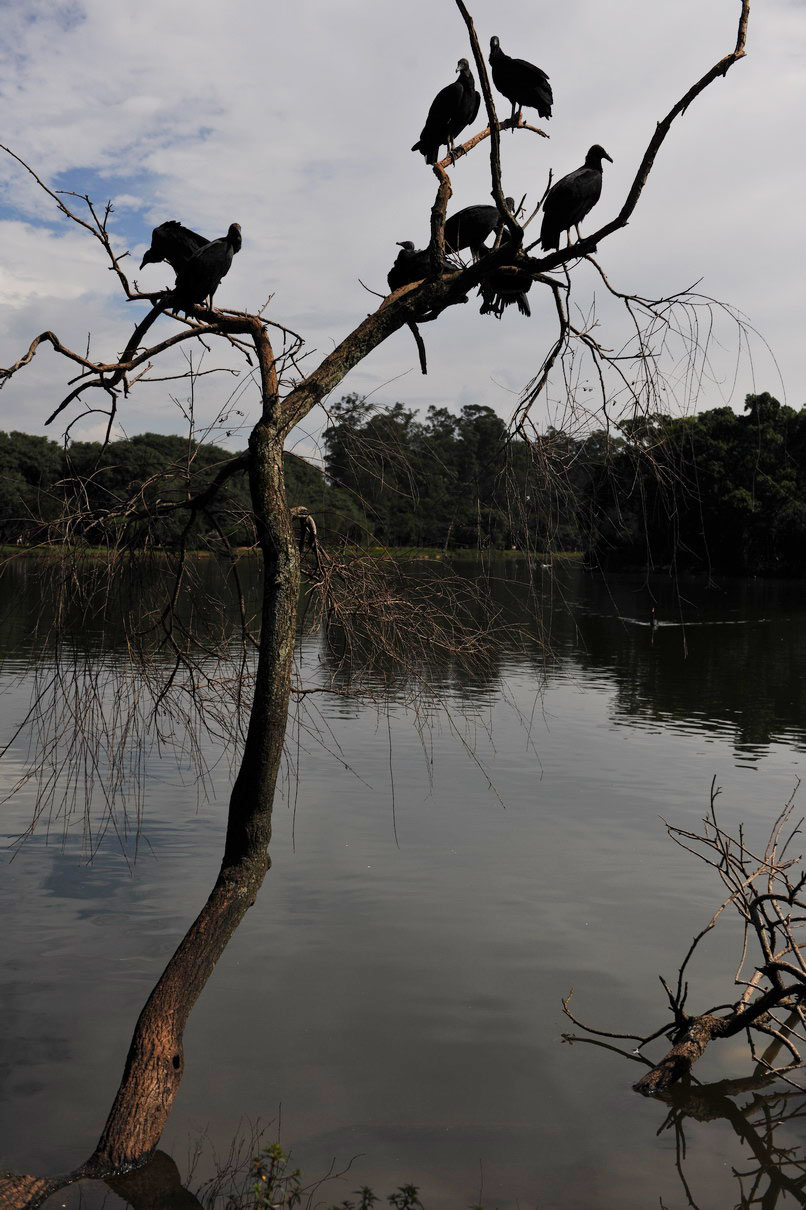 Photos of nature beauty on display