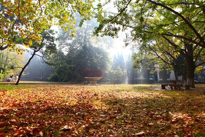 China's prettiest universities