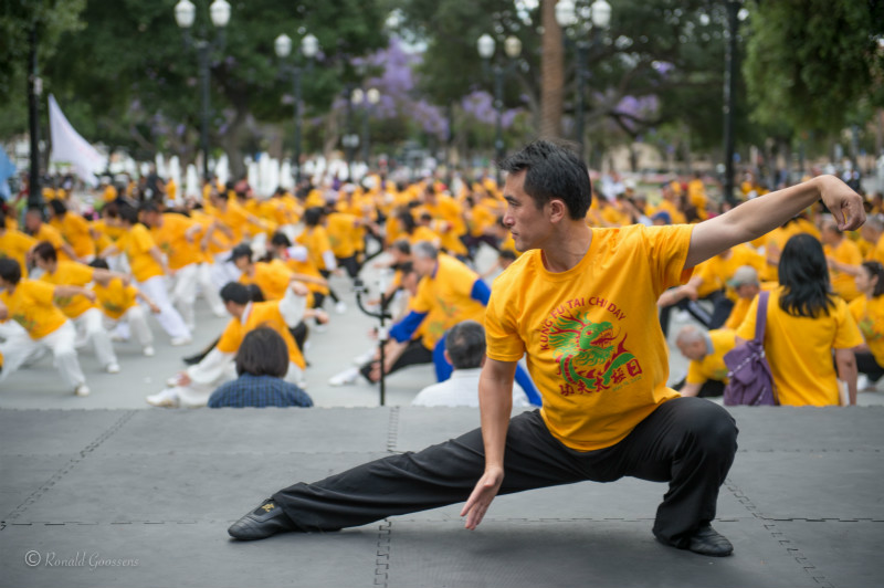 Chinese kung fu charms Silicon Valley