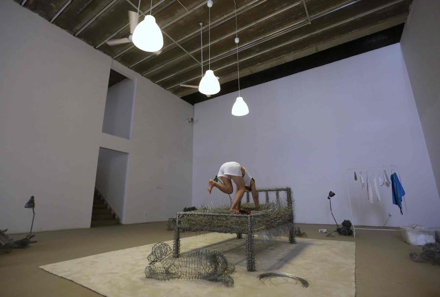 Artist to sleep on iron wire bed for 36 days