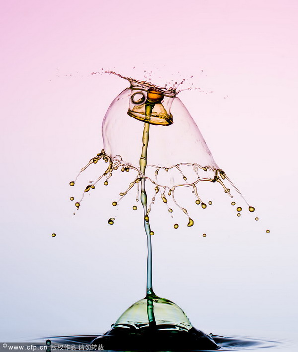 Photographer captures a water droplet's amazing moment