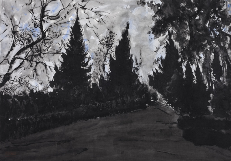 Exhibition of tree paintings reveals artist's loneliness