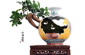 Ming and Qing imperial porcelains shine in Suzhou