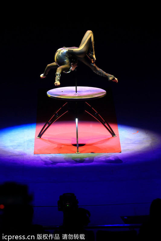 Massive circus comes to town in Zhuhai