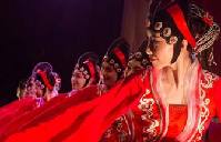 Photographic portrait of Chinese New Year in Sydney