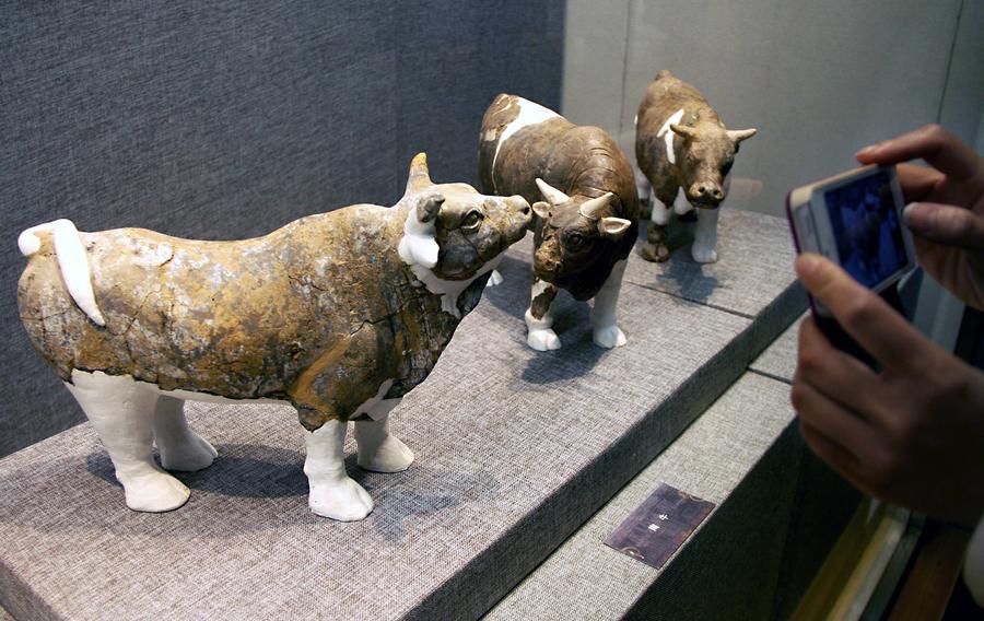 Relics from tomb of Sui Dynasty's Emperor Yang on display