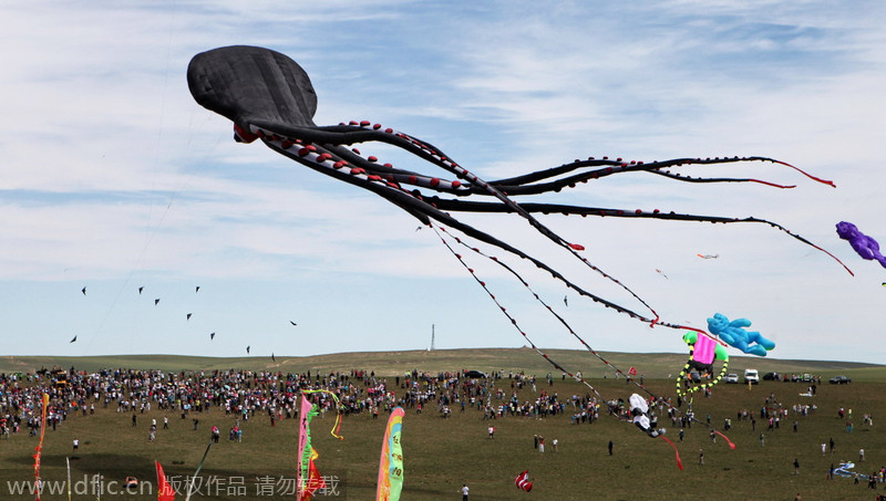 Kite festival kicks off in North China's grassland