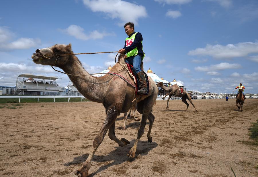 Nadam fair opens in N China's Inner Mongolia