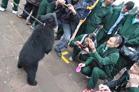 公交司機和動物交朋友 減壓力（圖）