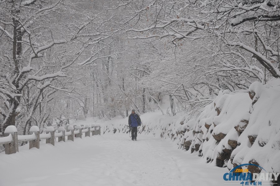 吉林氣象臺(tái)發(fā)布暴雪橙色預(yù)警