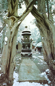 Forbidden City