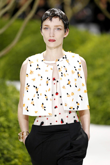 Paris Fashion Week S/S 2013: Dior