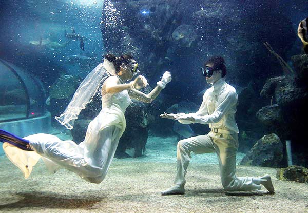 Fashion show goes underwater