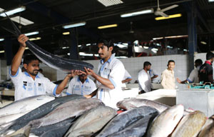 Grain market in India