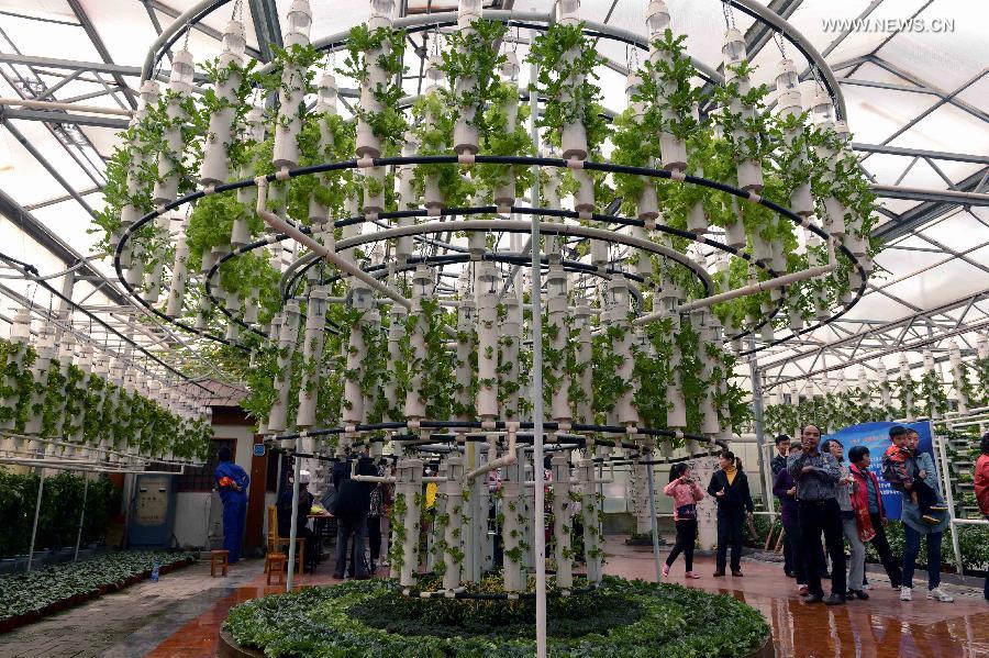 International Vegetable Sci-Tech Fair kicks off