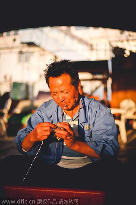 The Chinese delicacy: hairy crabs