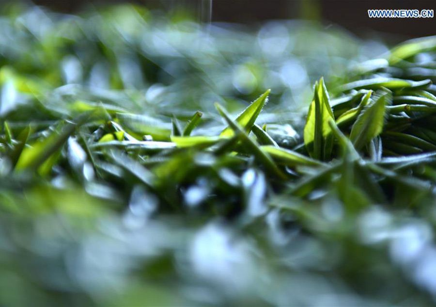 Tea making in C China's Hubei