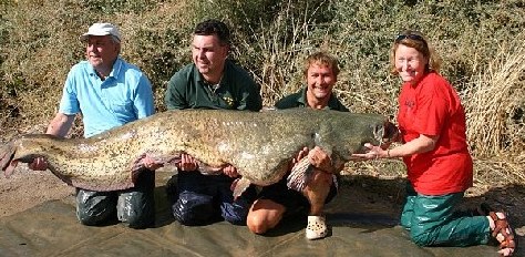 英國盲人婦女捕獲近百公斤重鯰魚 創(chuàng)兩項(xiàng)世界紀(jì)錄