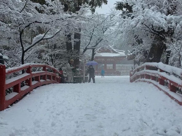 安倍不顧日本雪災(zāi)與支持者聚餐 引民主黨高層猛批