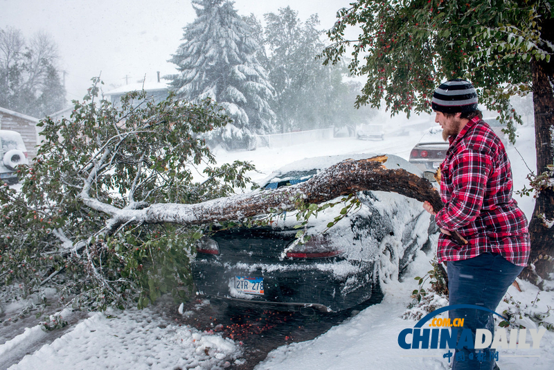 美中西部遭遇罕見(jiàn)暴風(fēng)雪 積雪近尺林肯像被覆