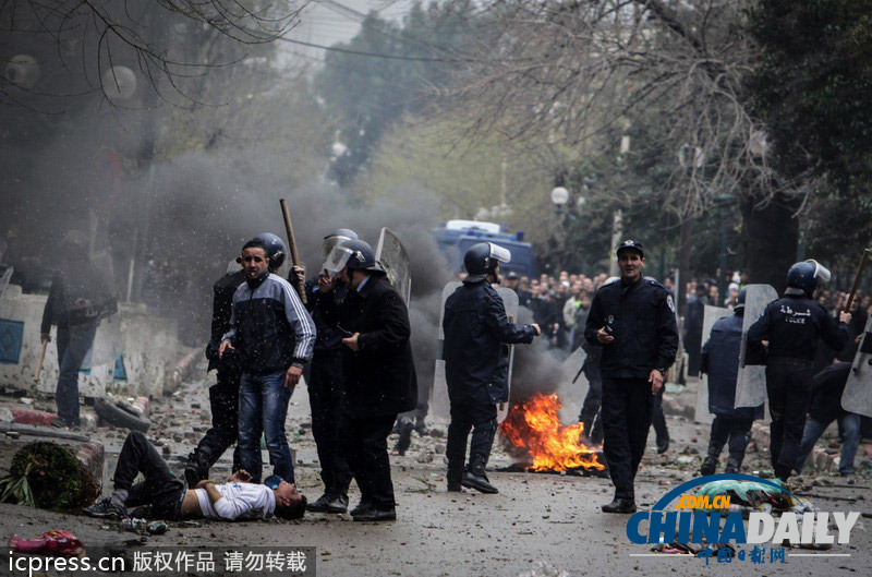 為爭(zhēng)住房惹禍端 阿爾及利亞民眾與警察發(fā)生激烈沖突