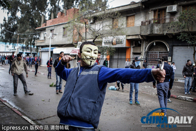 為爭(zhēng)住房惹禍端 阿爾及利亞民眾與警察發(fā)生激烈沖突