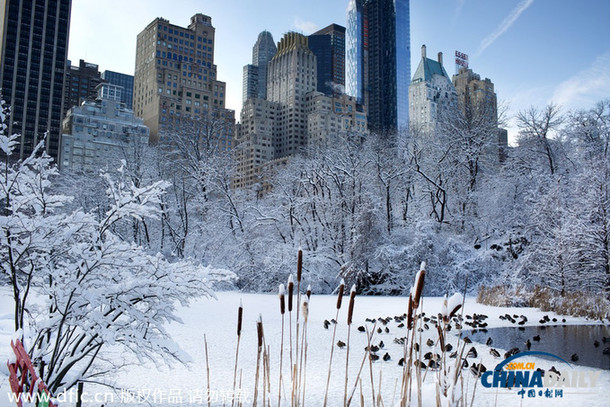 美國紐約風(fēng)雪交加 催防寒衣、雨鞋熱賣