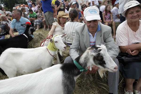 Goat 'beauty contest' in Lithuania