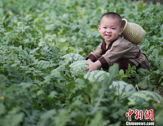 2歲萌娃吆喝自家西瓜 這個“瓜娃子”要火！（組圖）