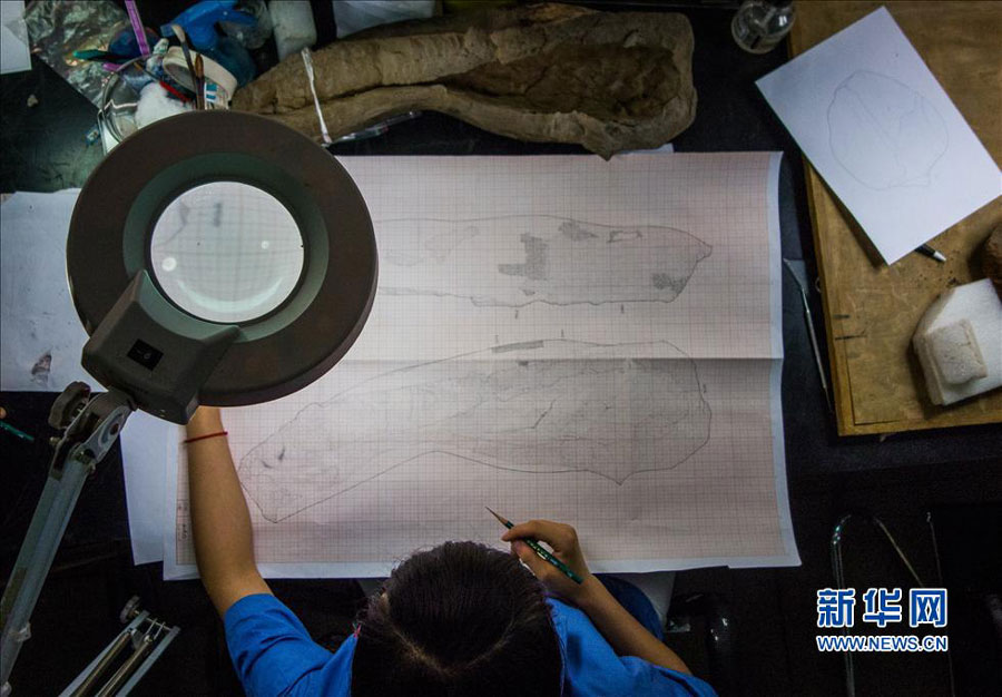 Process of repairing pieces of terracotta warriors