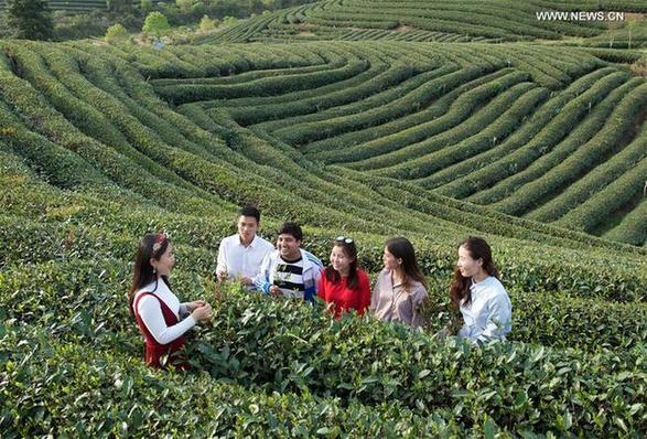 Foreign students learn tea ceremony at East China's college