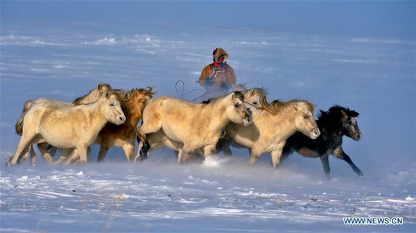 Opening ceremony of horse folk culture kicks off in North China's Inner Mongolia