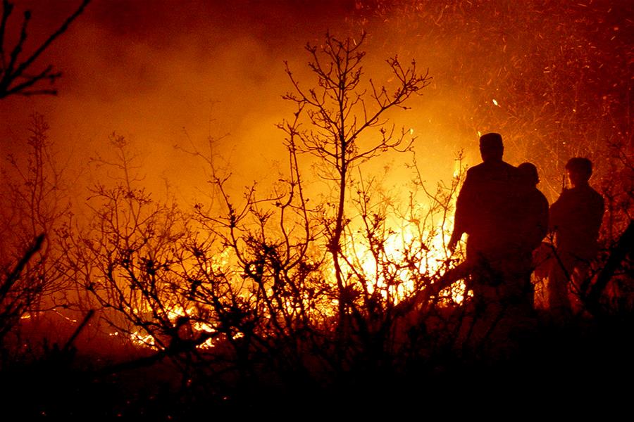 Inner Mongolia fights new forest fires　