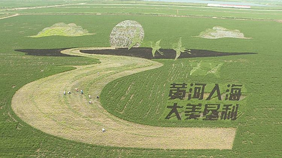 Art adds fun to rice paddy in Dongying