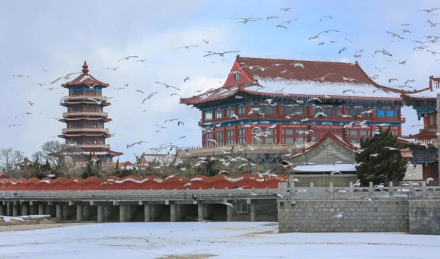 Winter coastal scenery of Yantai captured in photos